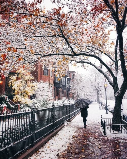 Snowy Autumn City Street