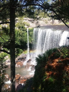 Forest Waterfall Rainbow