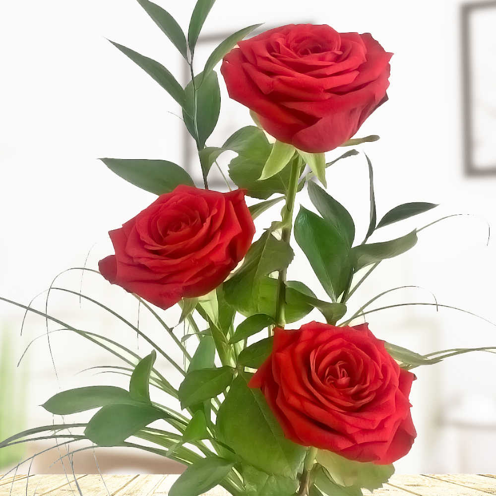 Three Red Roses