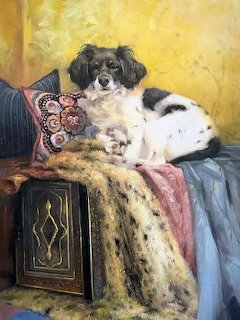 Portrait of a Beautiful Dog