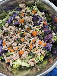 Homemade Dog Food Bowl