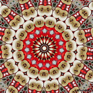 Red Floral Mandala