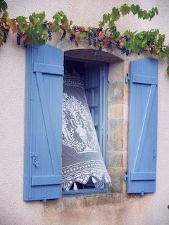 Open blue wooden shutters on a stone wall with lace curtain and grapevine above