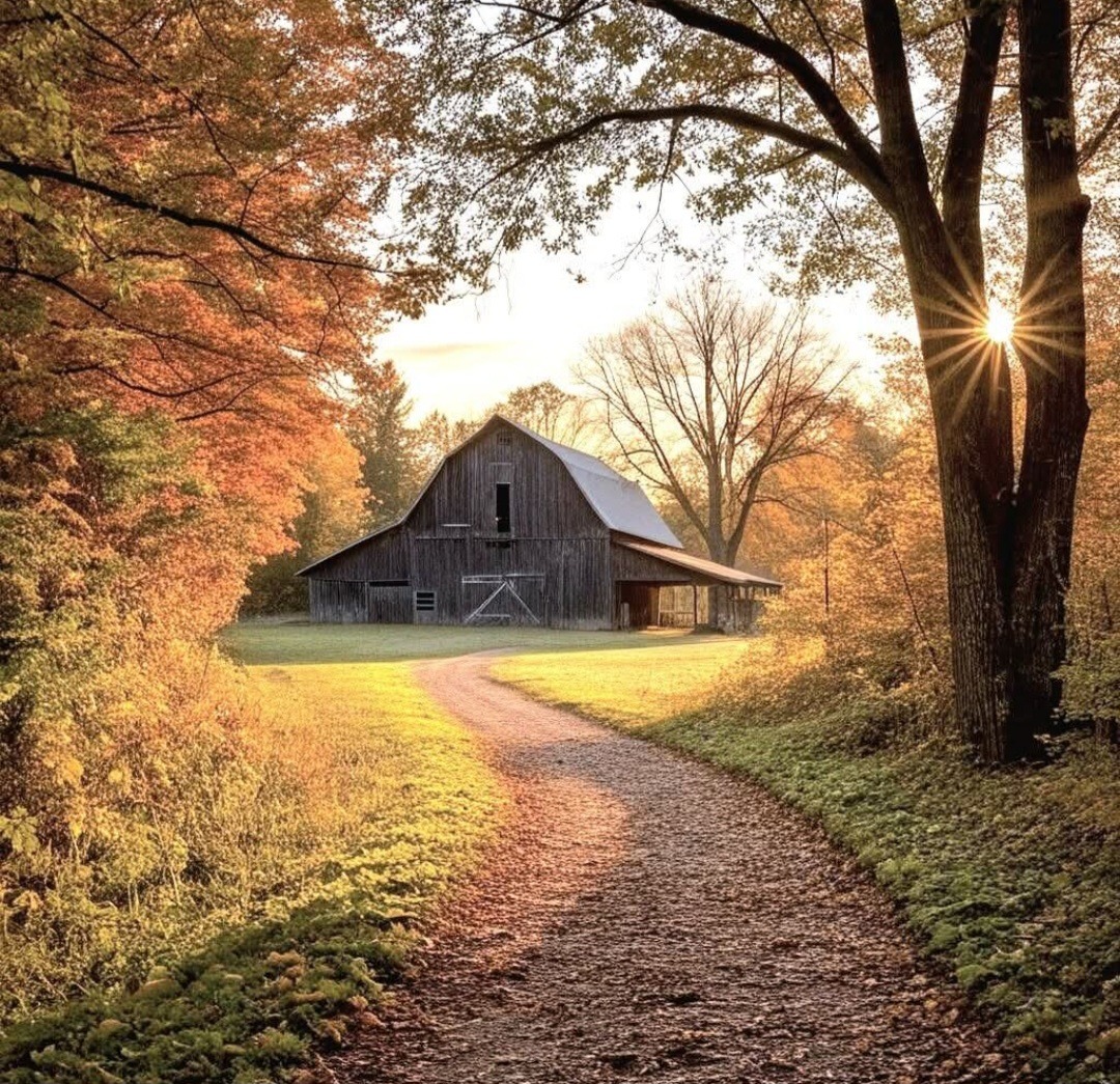 Rustic barn beside a winding path with autumn trees and warm sunlight
