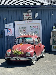 Pink VW Beetle Classic Car