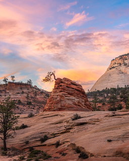 Sunrise over sandstone rock formations and slickrock in Zion National Park
