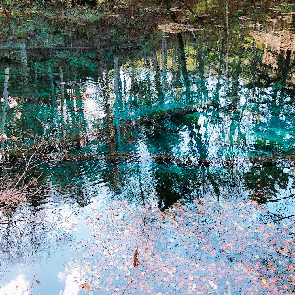 Turquoise pond water reflecting trees and sky with crystalline clarity