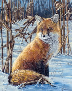 Red fox sitting in snow among dried grasses in winter forest scene