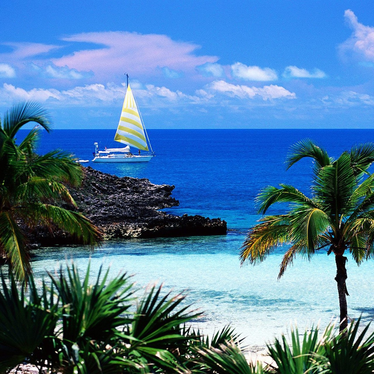 Tropical beach with sailboat, palm trees, turquoise water and white sand