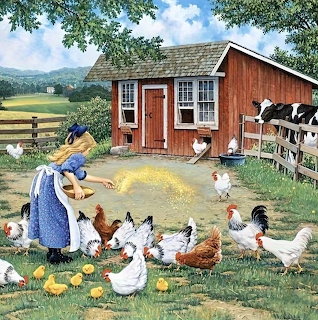Girl Feeding Chickens Farm
