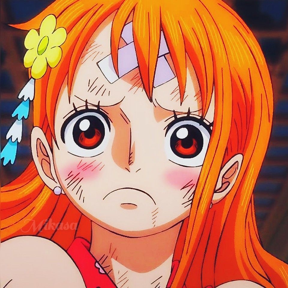 Nami One Piece Anime