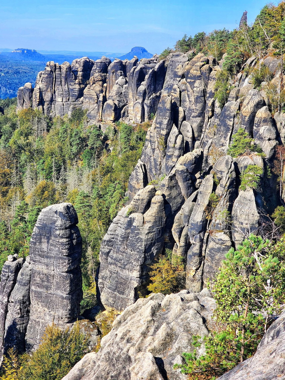 Sandstone rock formations and forested cliffs in Saxon Switzerland