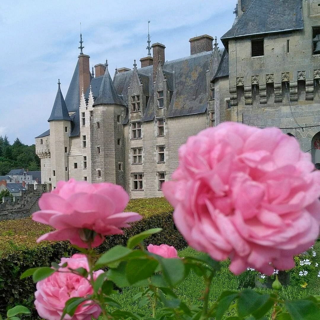 Medieval castle with conical towers behind pink roses in garden