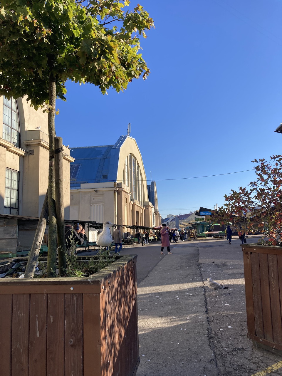 Street view of a large arched market hall building with trees and pedestrians on a sunny day.