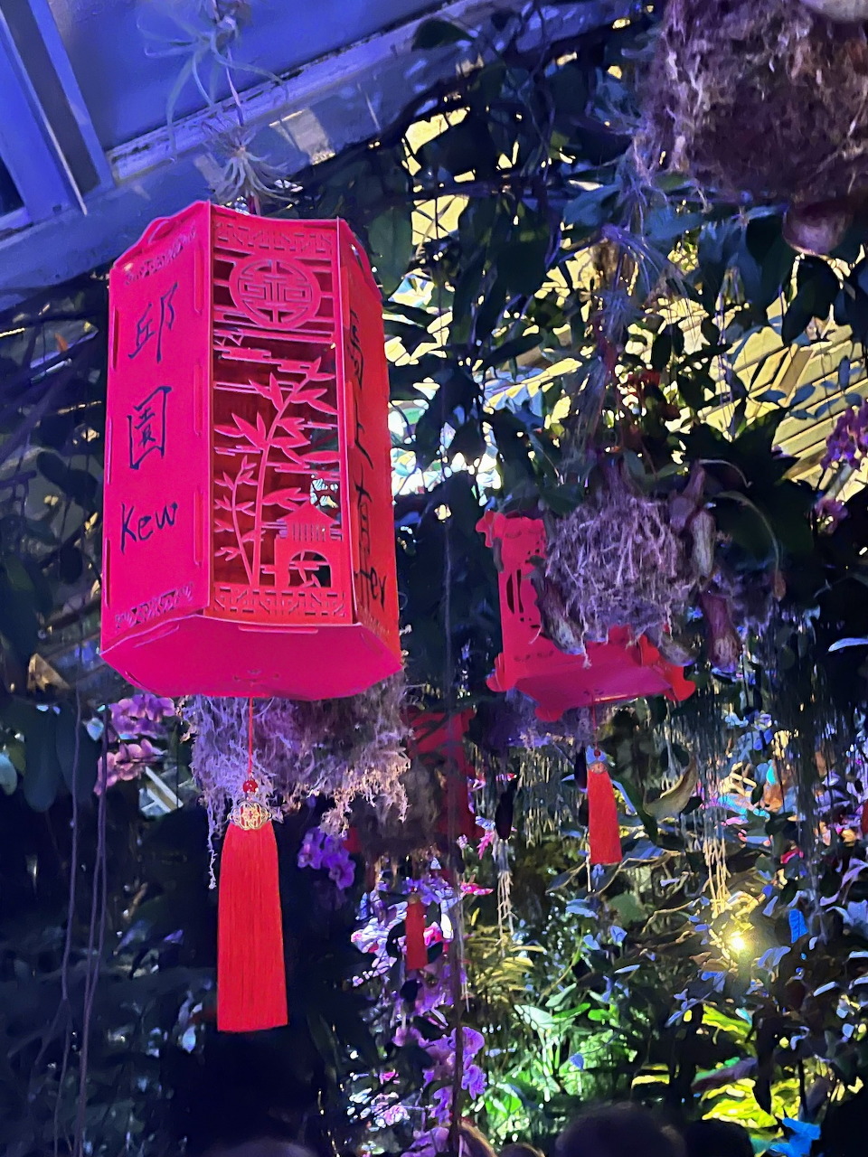 Chinese Red Lanterns