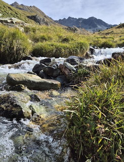 Rocky mountain stream flowing through green alpine grass with Swiss mountain peaks in the background