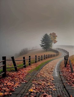Foggy Autumn Path