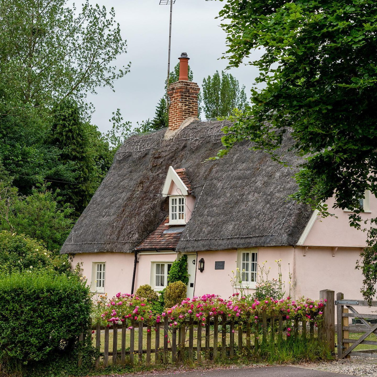 Traditional thatched roof cottage with pink walls and colorful garden flowers behind wooden fence