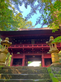 Stone steps leading to a red temple gate surrounded by green trees and stone lanterns
