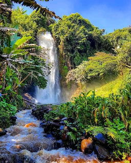 Tall waterfall dropping into a tropical jungle pool with lush green vegetation and rocks in Cameroon