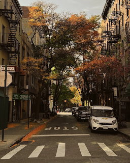City street lined with autumn trees, parked cars, crosswalk, and brownstone buildings under overcast sky