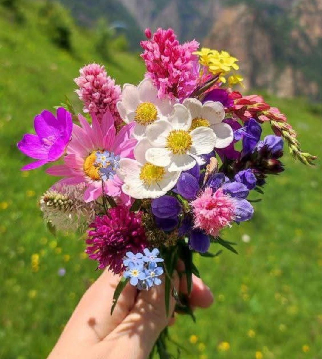 Wildflower Bouquet in Hand