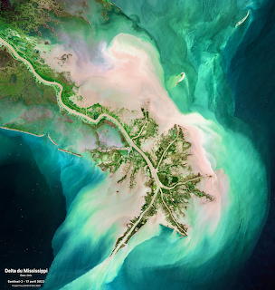 Colorful aerial map of the Mississippi Delta with branching channels and turquoise water