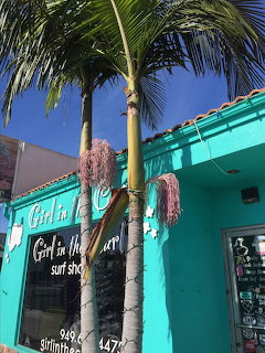 Turquoise surf shop building with palm tree and hanging decorations against blue sky