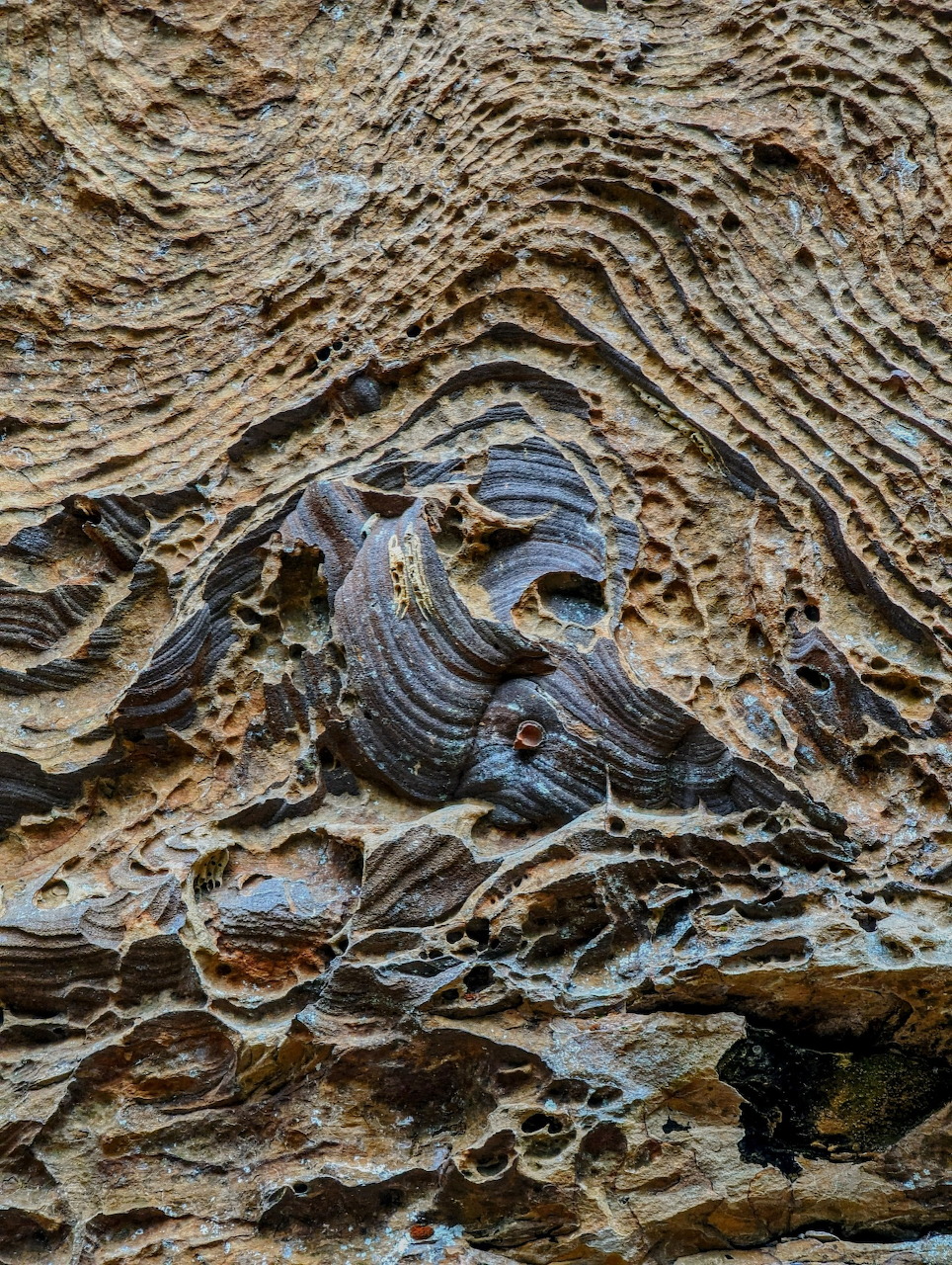 Close-up of Liesegang rings forming wavy banded patterns in sandstone rock face