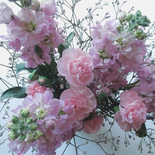 Bouquet of soft pink flowers with green leaves and small buds on a pale background