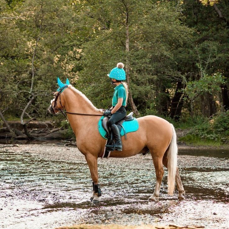 Girl on Palomino Pony