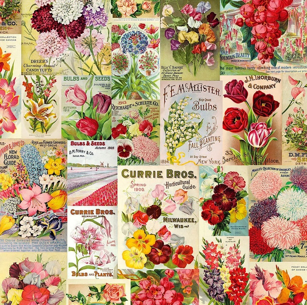 Collage of vintage floral seed packet covers with colorful botanical illustrations arranged in a patchwork grid pattern