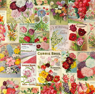 Vintage Seed Catalog Collage
