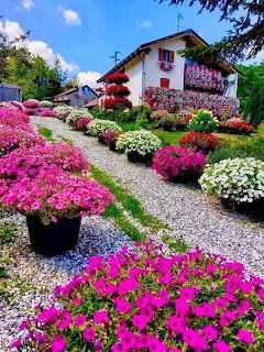 Alpine house with colorful flower pots lining gravel pathway