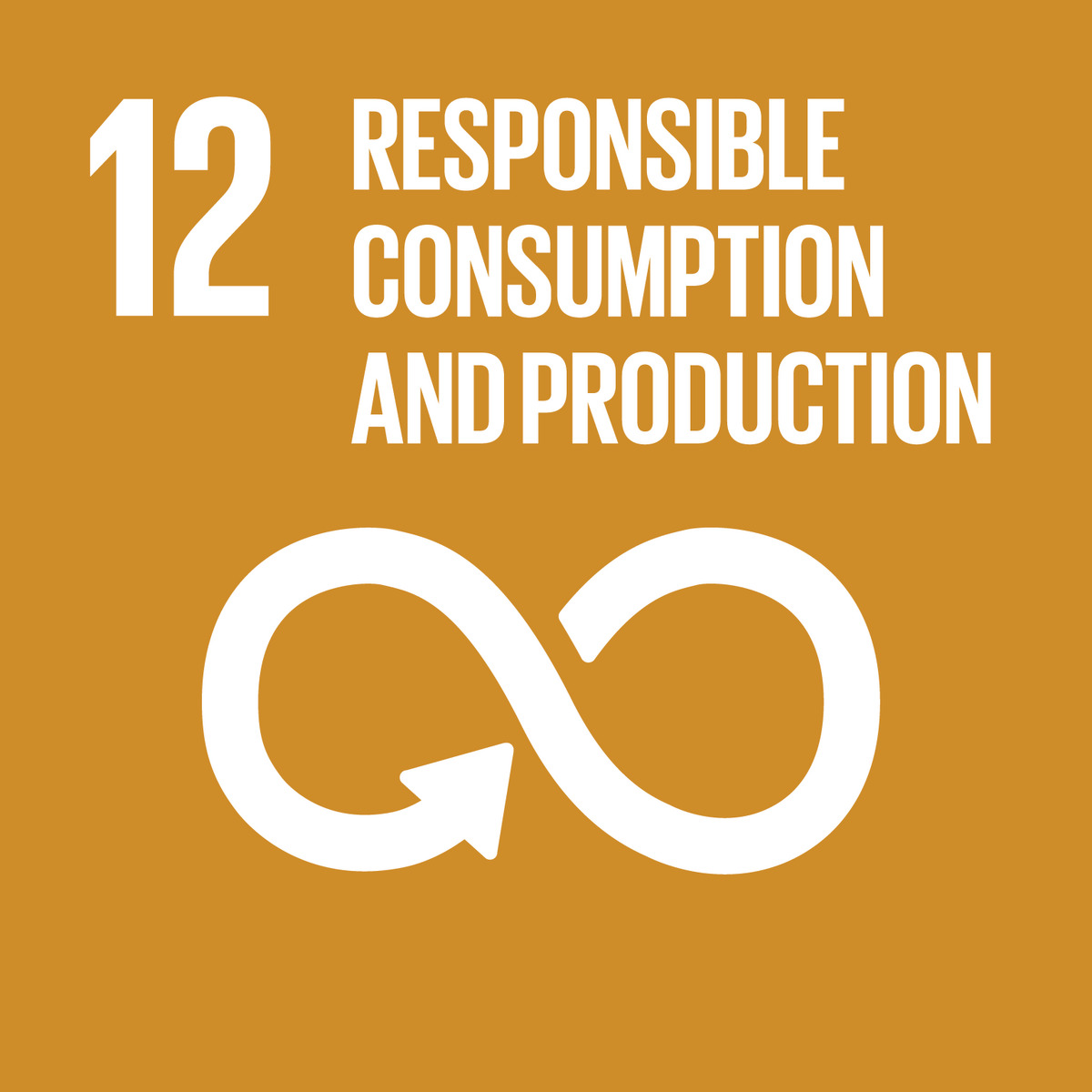 SDG 12 graphic with Responsible Consumption and Production text and a white infinity symbol