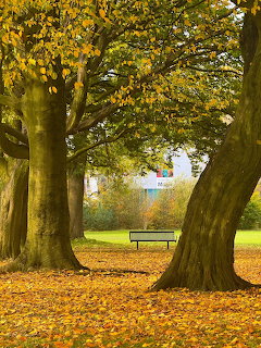 Park in September