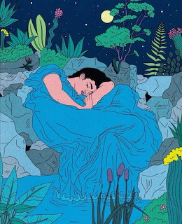 Illustration of a woman in a blue dress sleeping on rocks surrounded by green plants under a night sky
