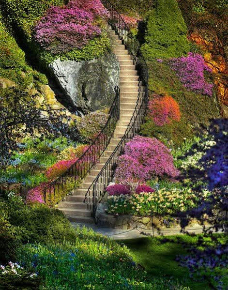 Garden Stairway with Flowers