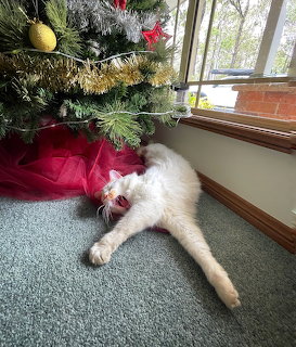 Fluffy white cat stretched out on carpet under a decorated Christmas tree indoors