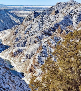 Snow-covered rocky mountain ridge with evergreen trees in the foreground and a valley beyond
