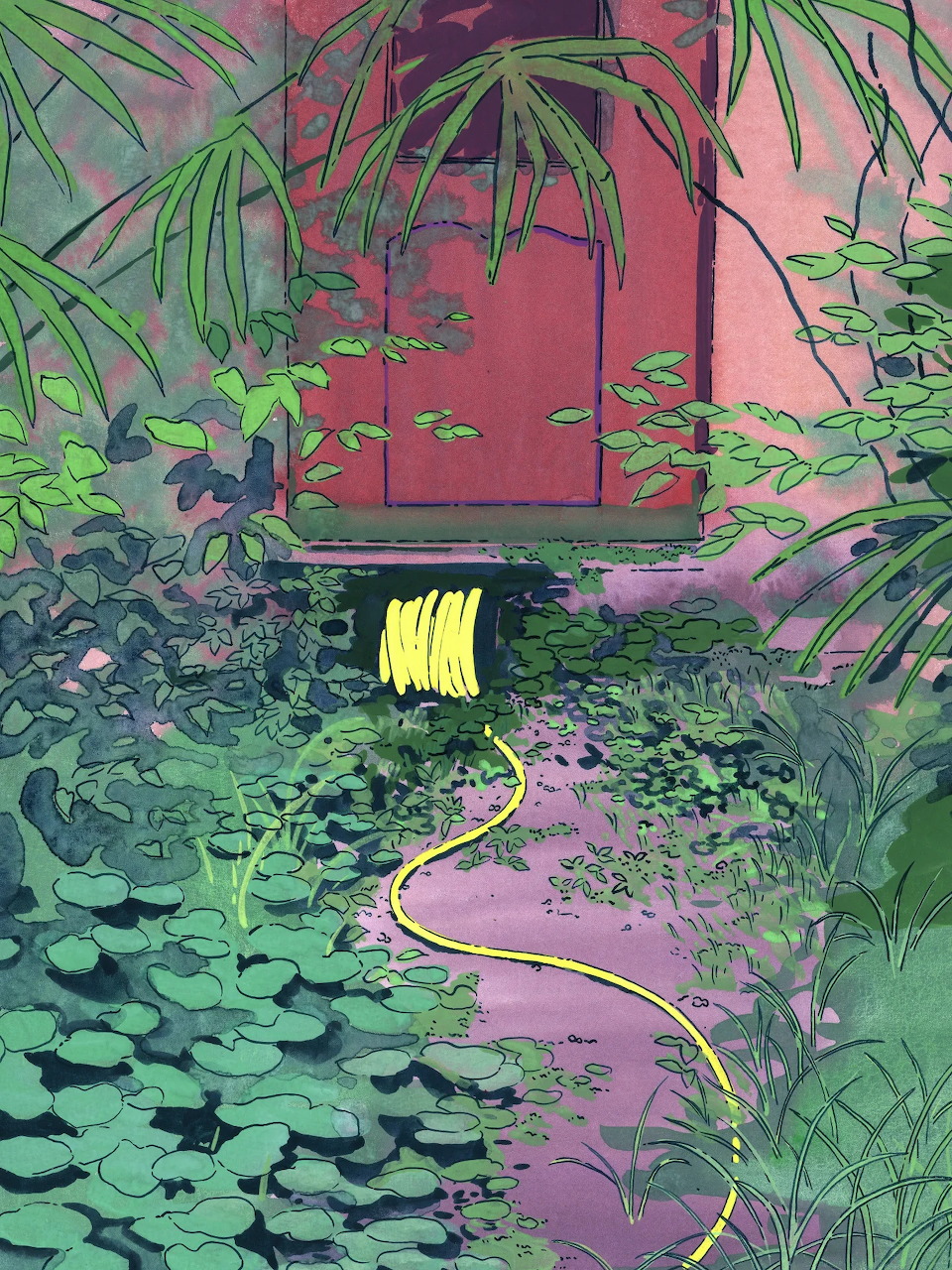 Stylized illustration of a garden with lily pads, green plants, a yellow hose, and a red door