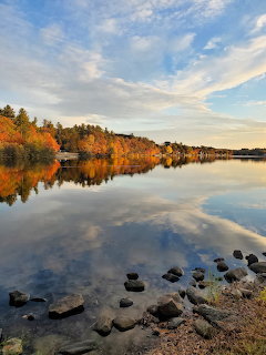 Autumn trees reflected in a calm lake with rocks on the shore under a blue sky