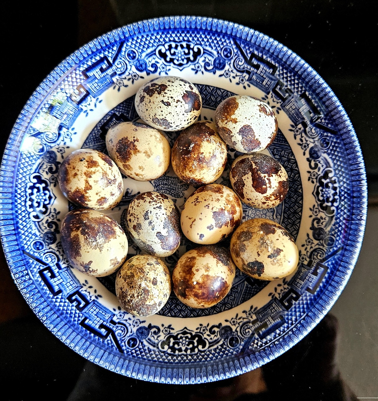 Quail Eggs in Blue Plate