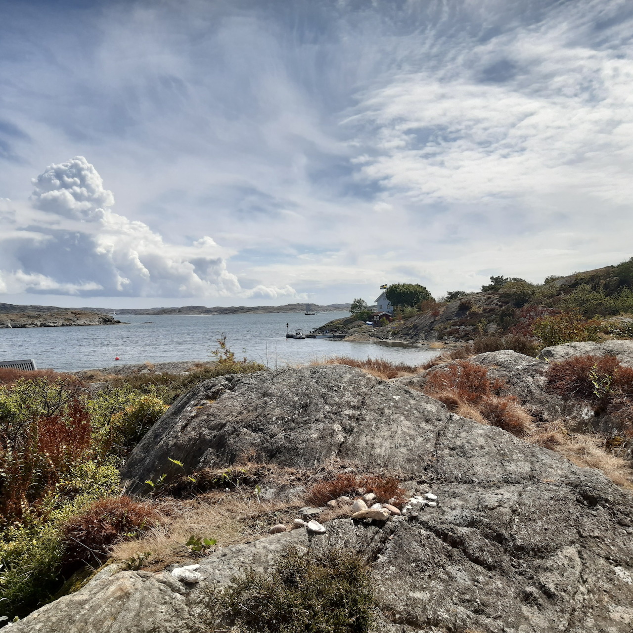 Rocky coastal shoreline with low shrubs, calm water, and a cloudy sky