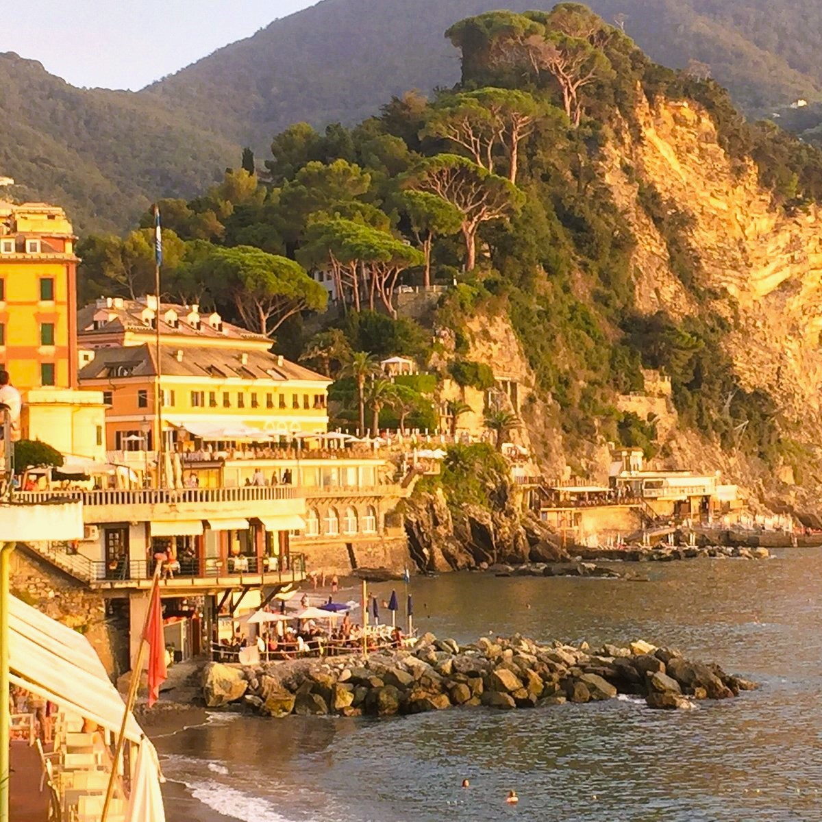 Colorful buildings and rocky shore of Camogli coastal town in Italy with green cliffs and mountains
