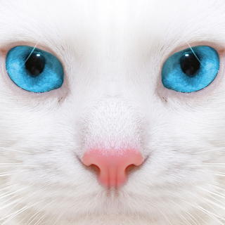 Beautiful eyes