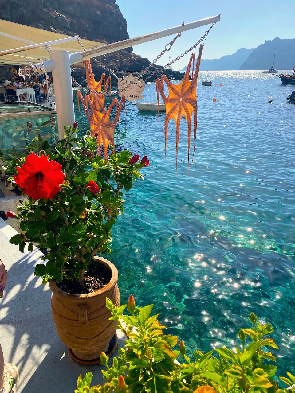 Capri Coastal Marina View