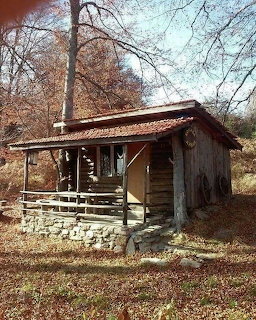 Rustic log cabin with a porch and stone foundation in a wooded clearing with bare trees