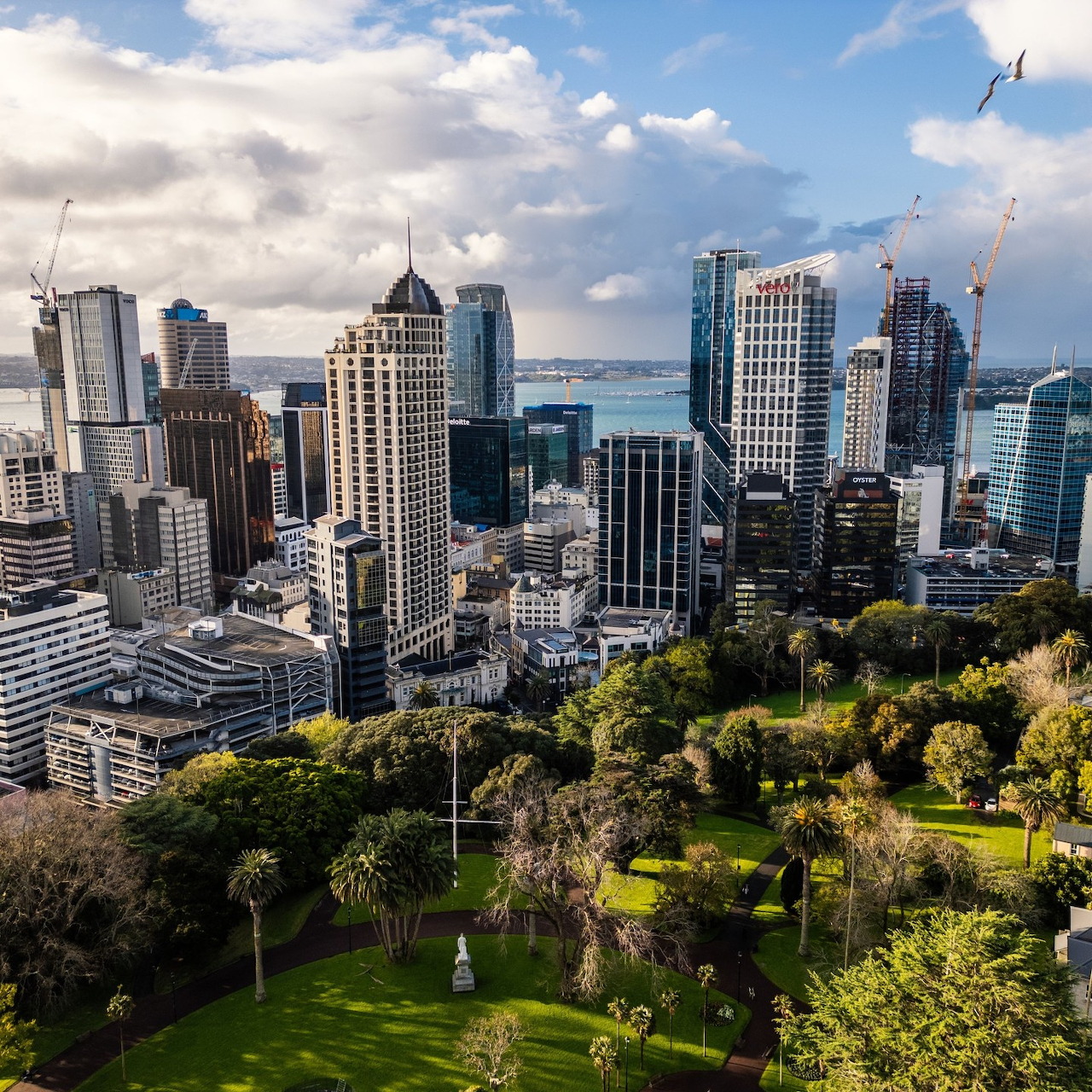 Aerial view of Auckland city center with tall buildings and foreground park