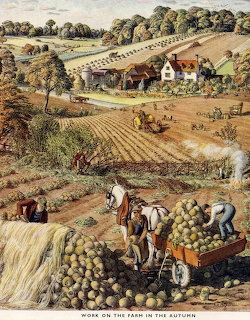 Autumn Farm Harvest Scene